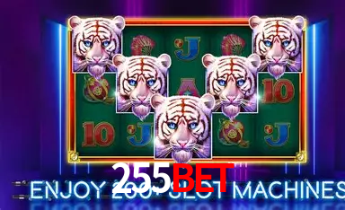 255bet,255bet.com